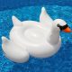 Bílá nafukovaci labuť